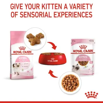 Royal Canin Kitten Instinctive w galaretce karma mokra dla kociąt do 12 miesiąca życia saszetka 85g