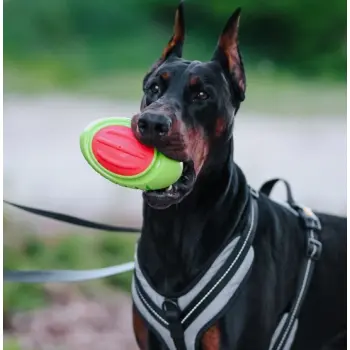 Dingo Zabawka dla psa - Guma TPR - Rugby Dent 17cm