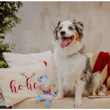 Dingo Zabawka dla psa pluszowa - Renifer Lucas 36cm