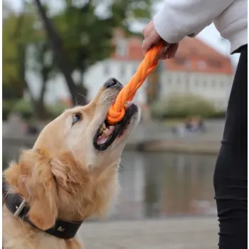 Dingo Zabawka dla psa - Ringo zaplatane Energy 18cm pomarańczowe