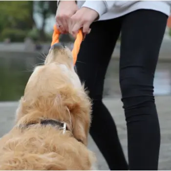 Dingo Zabawka dla psa - Ringo zaplatane Energy 18cm zielone