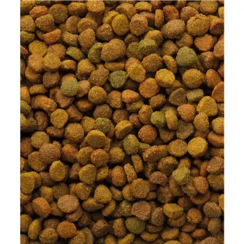 Versele-Laga Oke Cat Classic Variety 10kg