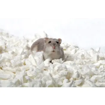 Spark Wiórki celulozowe 8,5L