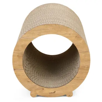 Gattino Drapak 12 Mia dąb lancelot