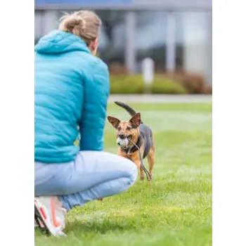 Trixie Piłka gumowa na sznurku 6/30cm [3454]