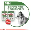 Royal Canin Mini Ageing 12+ karma sucha dla psów dojrzałych po 12 roku życia, ras małych 800g