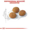 Royal Canin Exigent Aromatic Attraction karma sucha dla kotów dorosłych, wybrednych, kierujących się zapachem 2kg