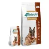 VETEXPERT Veterinary Diet Dog Intestinal Elimination 2kg
