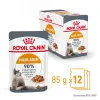 ROYAL CANIN Intense Beauty Gravy 12x85g