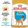 ROYAL CANIN Boxer Puppy 12kg