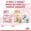 ROYAL CANIN Kitten Instinctive W Sosie 12x85g