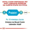 ROYAL CANIN Labrador Retriever Puppy 12kg