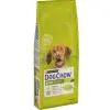 Purina Dog Chow Adult Z Kurczakiem 14kg