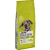 Purina Dog Chow Large Breed Adult Z Indykiem 14kg