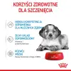 ROYAL CANIN Medium Puppy 10x140g