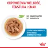 ROYAL CANIN Maxi Puppy 10x140g