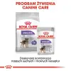 ROYAL CANIN CCN Sterilised Mini Pasztet 12x85g