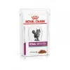 ROYAL CANIN Renal With Fish 12x85g