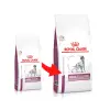 ROYAL CANIN Mobility Support 12kg