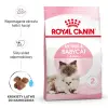 ROYAL CANIN Mother & Baby Cat 400g