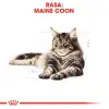 ROYAL CANIN Maine Coon Adult 2kg