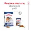 ROYAL CANIN Maxi Adult 15kg