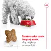 ROYAL CANIN Mini Adult 4kg