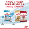 ROYAL CANIN Medium Puppy 15kg