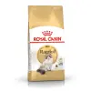 ROYAL CANIN Ragdoll Adult 10kg
