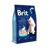 Brit Premium Cat Kitten Chicken 300g