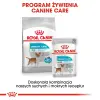 Royal Canin Mini Urinary Care karma sucha dla psów dorosłych, ras małych, ochrona dolnych dróg moczowych 3kg