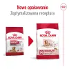 Royal Canin Medium Ageing 10+ karma sucha dla psów starszych, ras średnich 15kg