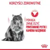 Royal Canin Oral Care karma sucha dla kotów dorosłych, redukująca odkładanie kamienia nazębnego 1,5kg