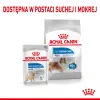 Royal Canin Maxi Light Weight Care karma sucha dla psów dorosłych, ras dużych z tendencją do nadwagi 3kg