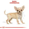 Royal Canin Chihuahua Puppy karma sucha dla szczeniąt do 8 miesiąca, rasy chihuahua 1,5kg