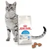 Royal Canin Indoor Apetite Control karma sucha dla kotów dorosłych, przebywających w domu, domagających się jedzenia 2kg