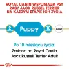 Royal Canin Jack Russell Terrier Puppy karma sucha dla szczeniąt do 10 miesiąca, rasy jack russell terrier 500g