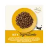 Applaws Cat Adult Chicken 2kg