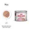 Royal Canin Mother & Babycat Instinctive Mousse karma mokra - mus dla kociąt i kotek karmiących puszka 195g