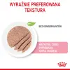Royal Canin Mother & Babycat Instinctive Mousse karma mokra - mus dla kociąt i kotek karmiących puszka 195g