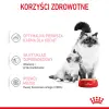 Royal Canin Mother & Babycat Instinctive Mousse karma mokra - mus dla kociąt i kotek karmiących puszka 195g