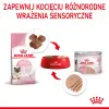 Royal Canin Mother & Babycat Instinctive Mousse karma mokra - mus dla kociąt i kotek karmiących puszka 195g