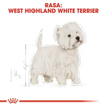 Royal Canin West Highland White Terrier Adult karma sucha dla psów dorosłych rasy west highland white terrier 1,5kg