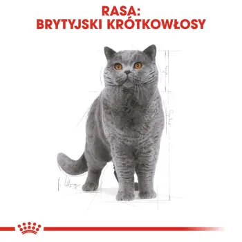 Royal Canin British Shorthair Adult karma sucha dla kotów dorosłych rasy brytyjski krótkowłosy 400g