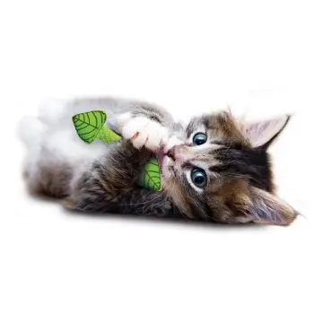 Petstages Miętowa strzała PS335