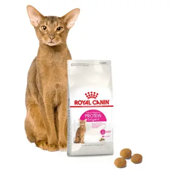 Royal Canin Exigent Protein Preference karma sucha dla kotów dorosłych, wybrednych, kierujących się białkiem 2kg