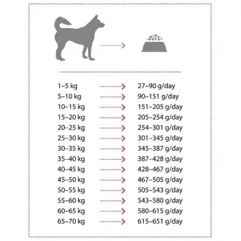 Nature's Protection Extra Salmon 2kg