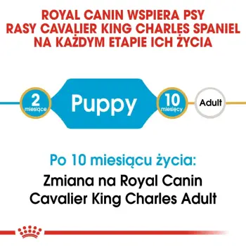 ROYAL CANIN Cavalier King Charles Spaniel Puppy 1,5kg
