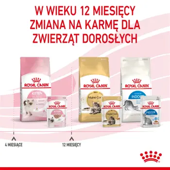 ROYAL CANIN Kitten Pasztet 12x85g