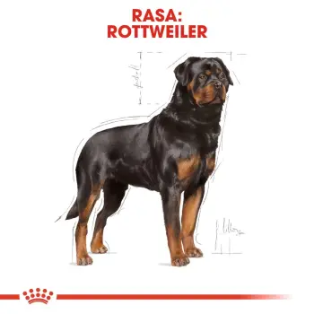 ROYAL CANIN Rottweiler Adult 12kg